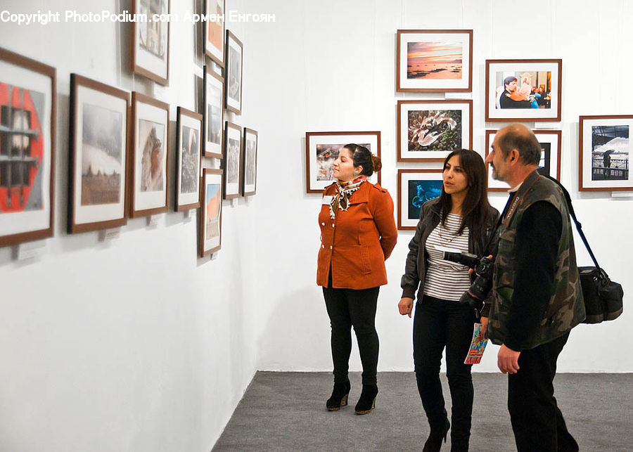 Human, People, Person, Art, Art Gallery, Collage, Poster