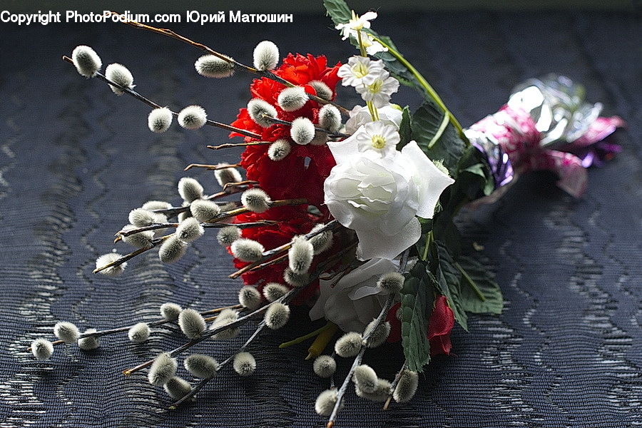 Flower, Flower Arrangement, Flower Bouquet, Plant, Potted Plant, Accessories, Floral Design