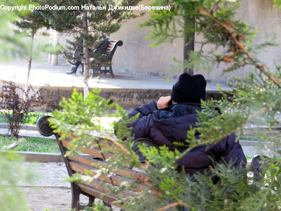 People, Person, Human, Garden, Gardener, Gardening, Bench