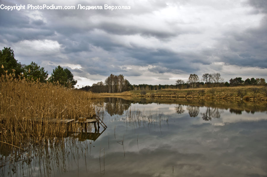 Land, Marsh, Pond, Swamp, Water, Flood, Field