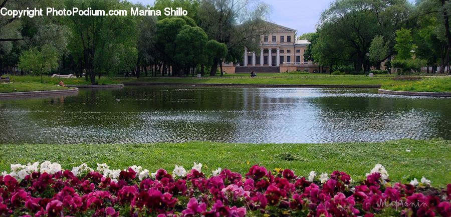 Outdoors, Pond, Water, Lake, Forest, Vegetation, Park