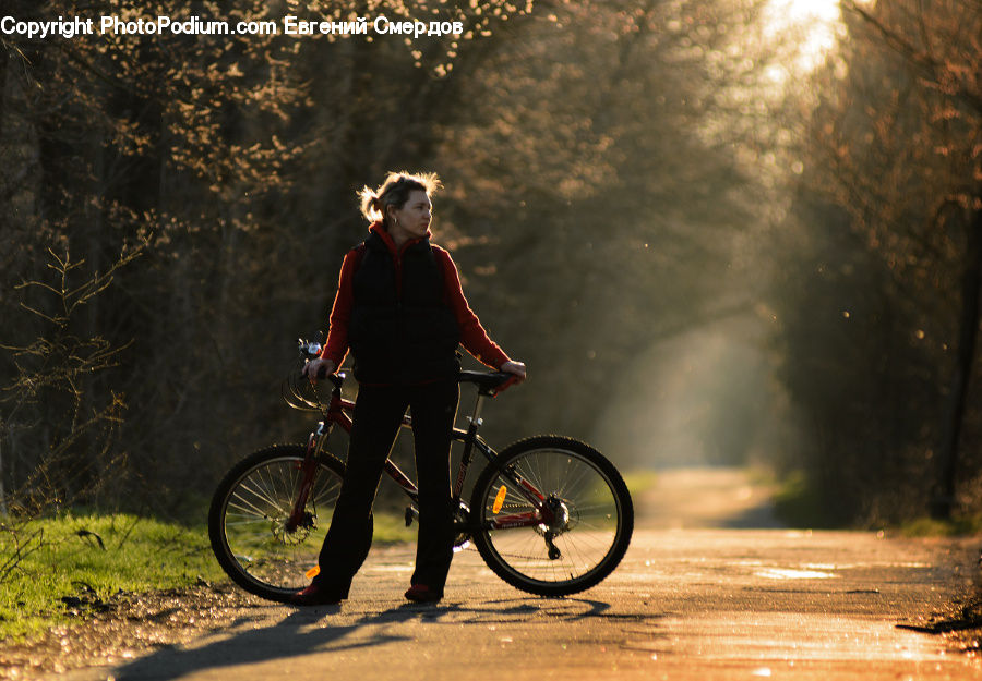 Human, People, Person, Bicycle, Bike, Vehicle, Mountain Bike