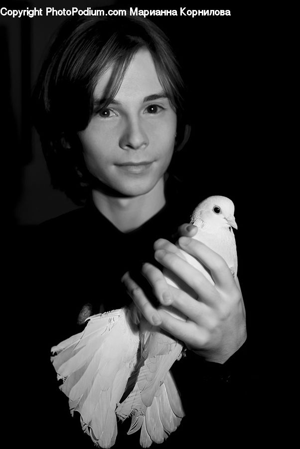 Human, People, Person, Portrait, Selfie, Bird, Dove