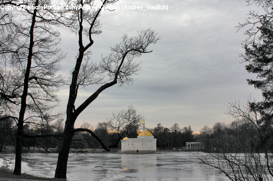 Flood, Plant, Tree, Architecture, Dome, Building, Housing
