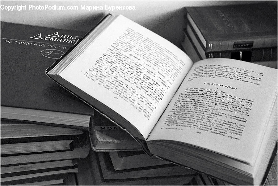 Book, Text, Brochure, Flyer, Paper, Poster, Business Card