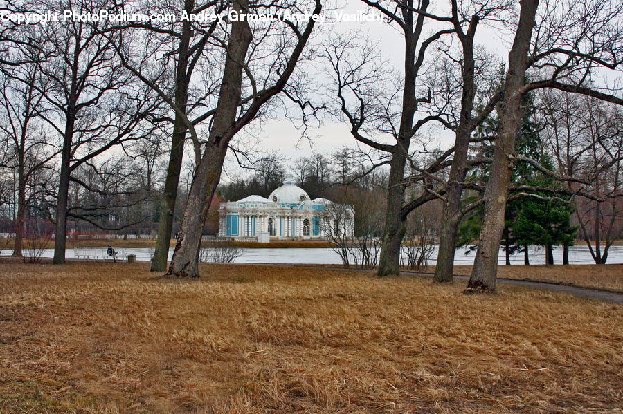 Gazebo, Park