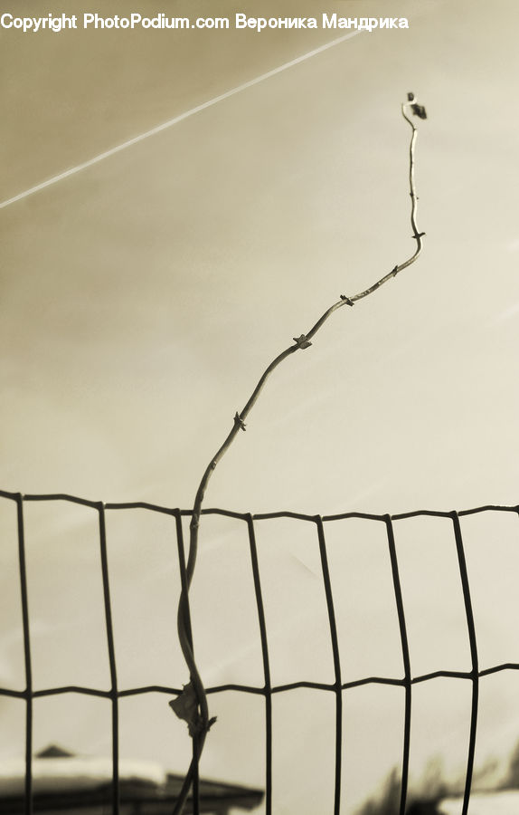 Wire