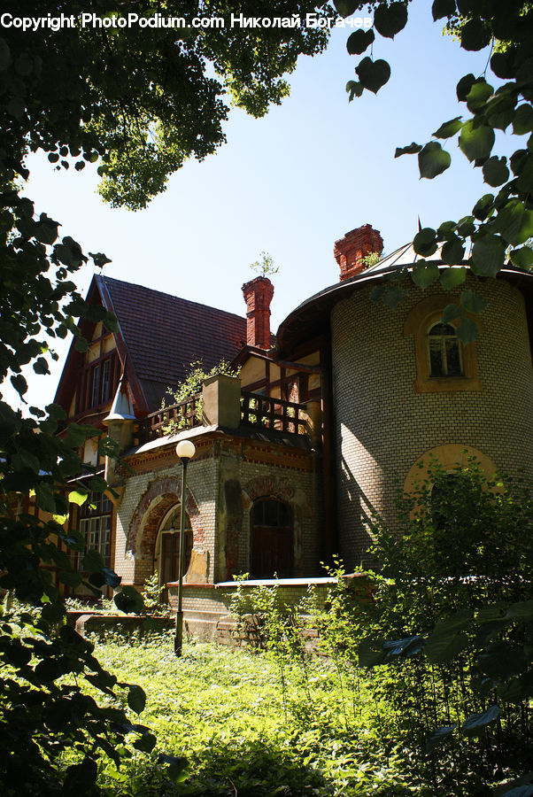 Building, Cottage, Housing, Ivy, Plant, Vine, Villa