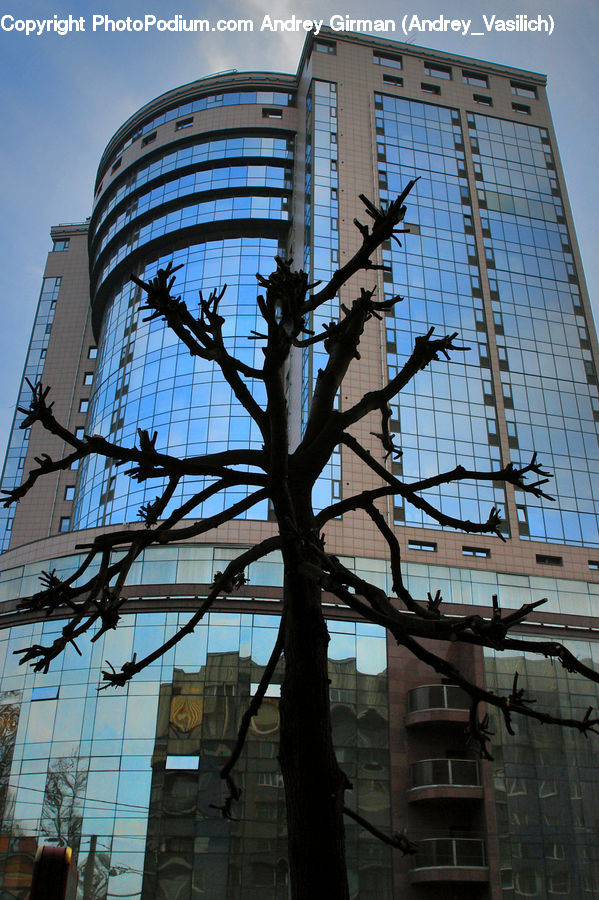 Building, Housing, City, High Rise, Apartment Building, Office Building, Downtown