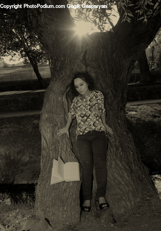 People, Person, Human, Costume, Plant, Tree, Female