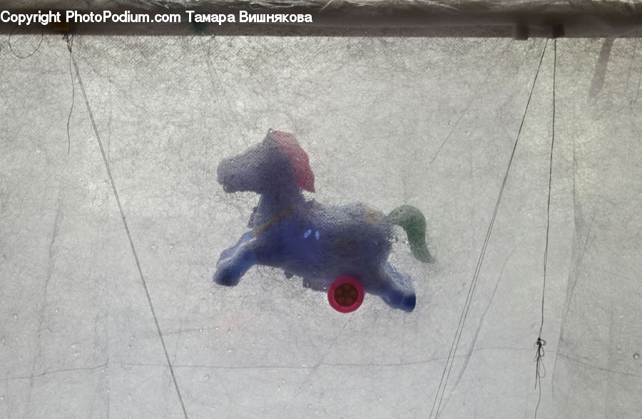 Toy, Animal, Canine, Dog, Mammal, Pet, Poodle