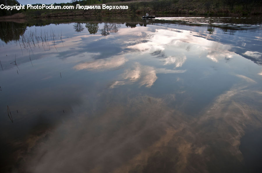 Land, Marsh, Pond, Swamp, Water, Landscape, Nature