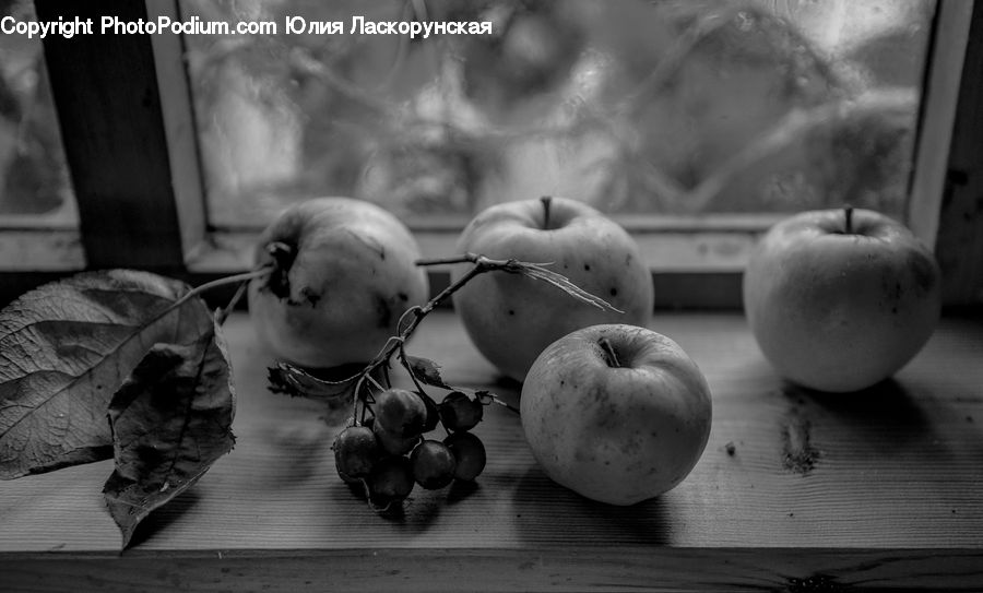 Apple, Fruit, Plum, Animal, Bat, Racket, Quince