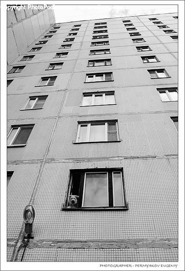 Window, Building, City, High Rise, Apartment Building, Downtown, Urban