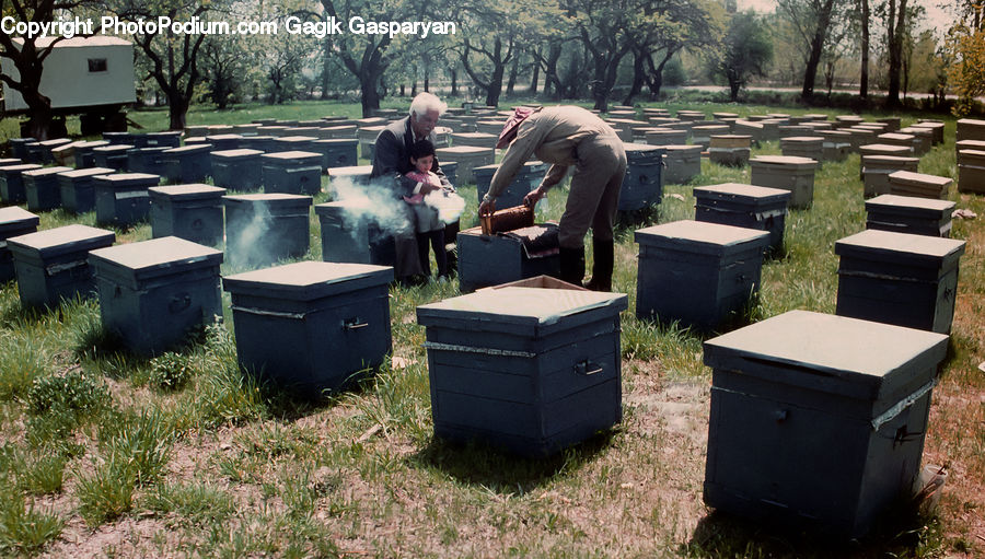 People, Person, Human, Tomb, Bbq, Food, Apiary