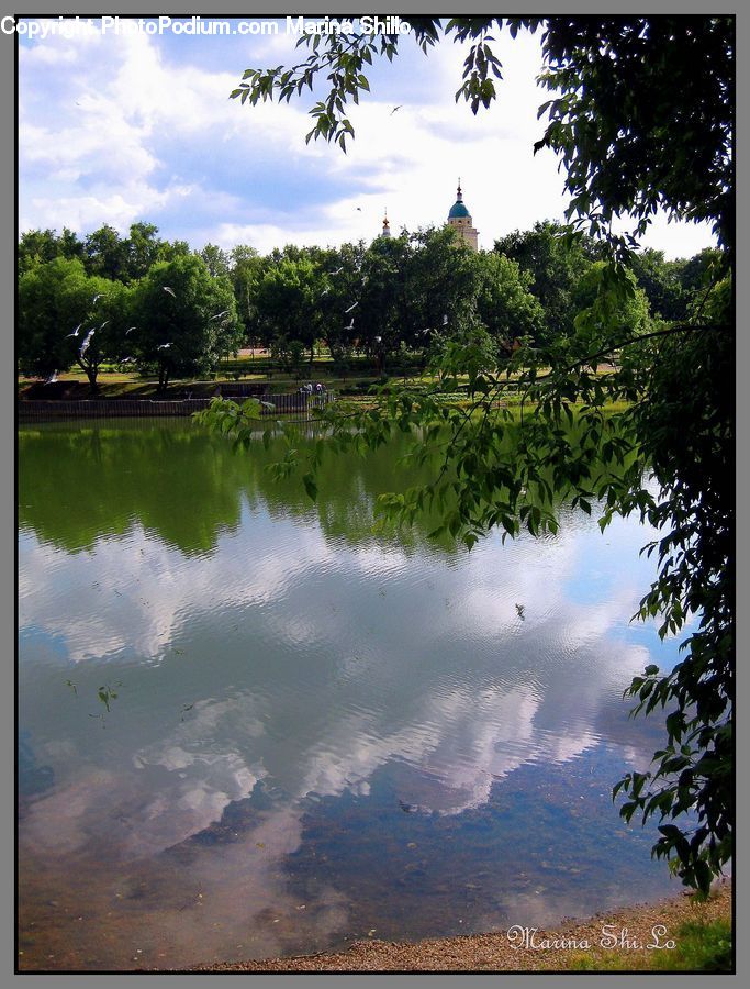 Outdoors, Pond, Water, Landscape, Nature, Scenery, Blossom