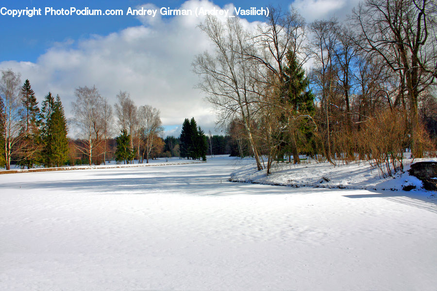 Ice, Outdoors, Snow, Landscape, Nature, Scenery, Forest