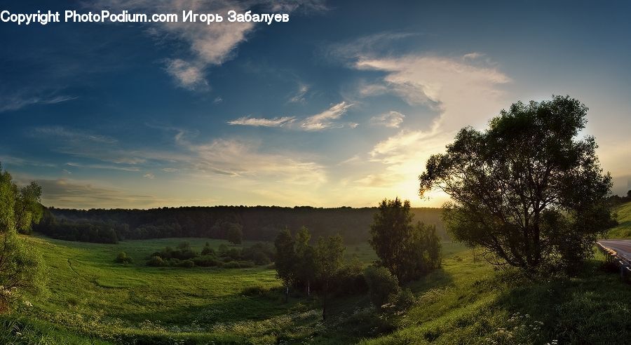 Dirt Road, Gravel, Road, Field, Grass, Grassland, Land