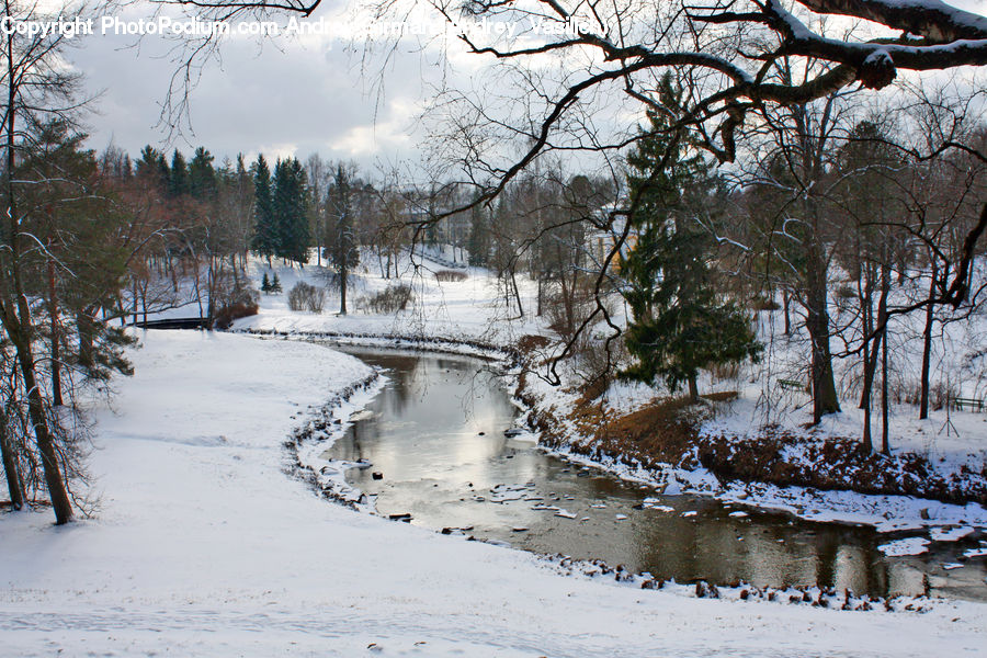 Landscape, Nature, Scenery, Ice, Outdoors, Snow, Coast