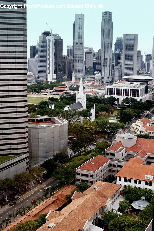 Plant, Potted Plant, Aerial View, City, Downtown, Metropolis, Urban