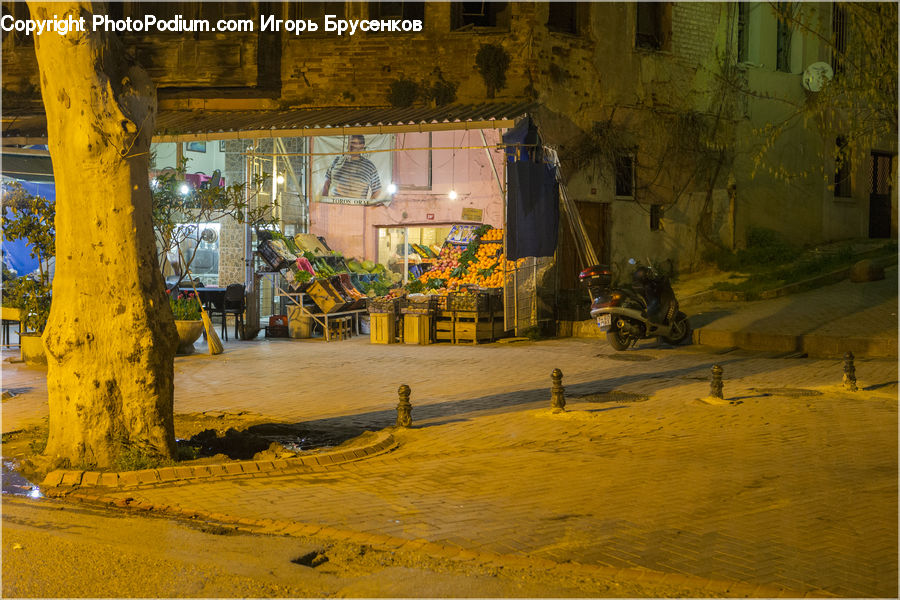 Plant, Potted Plant, Alley, Alleyway, Road, Street, Town
