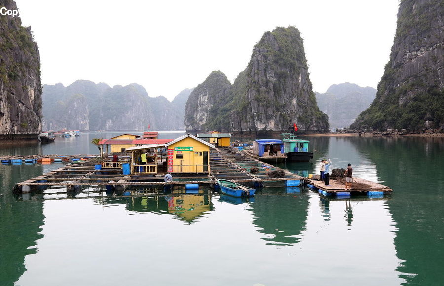 Boat, Watercraft, Dock, Landing, Pier, Harbor, Port