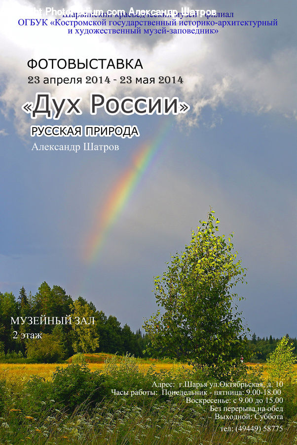 Outdoors, Rainbow, Sky, Field, Grass, Grassland, Land