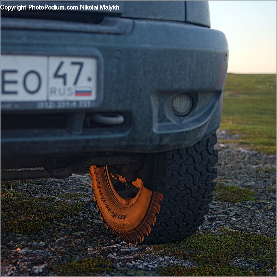 License, License Plate, Text, Footwear, Shoe, Bumper, Car