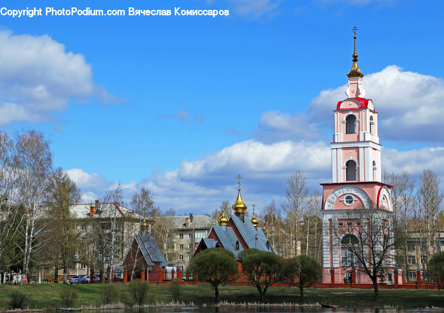 Architecture, Bell Tower, Clock Tower, Tower, Plant, Tree, Oak