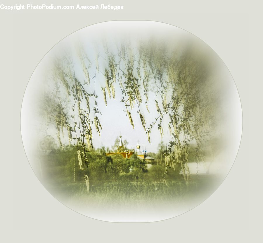Sphere, Light
