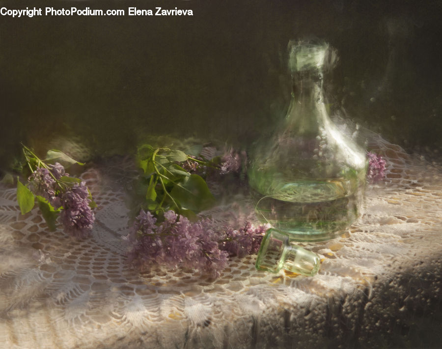 Plant, Potted Plant, Water, Vegetation, Art, Blossom, Flora