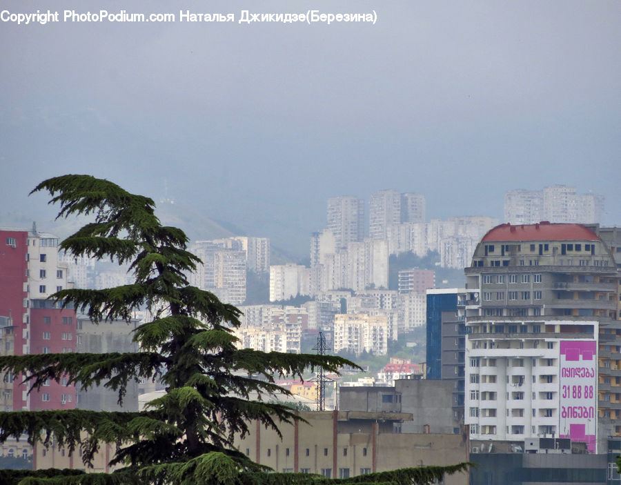 Building, Housing, City, High Rise, Apartment Building, Downtown, Metropolis