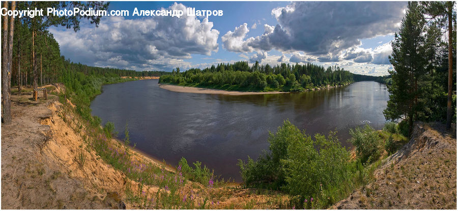 Lake, Outdoors, Water, Conifer, Fir, Plant, Tree