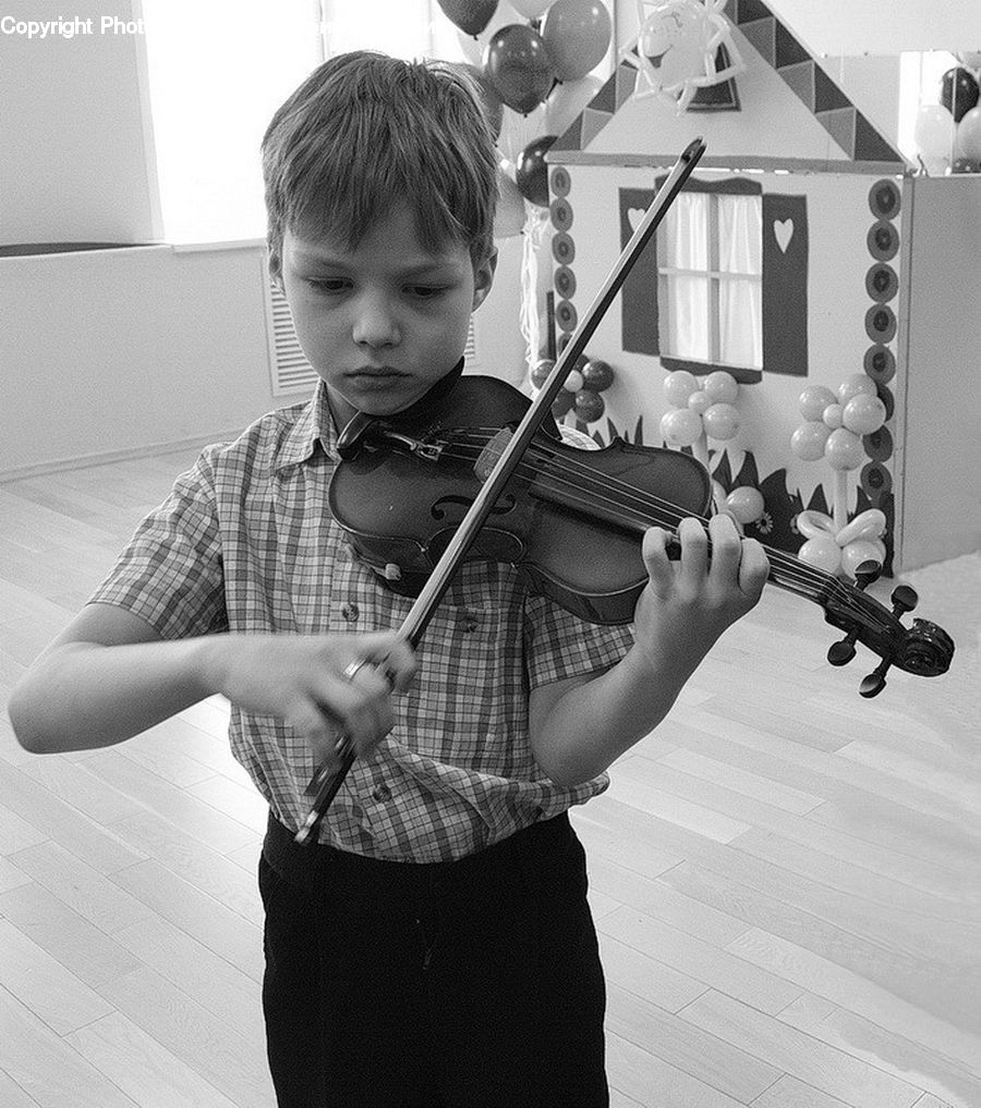 People, Person, Human, Cello, Fiddle, Musical Instrument, Violin
