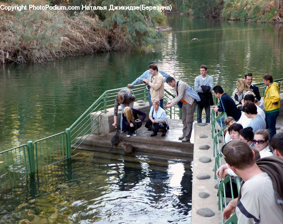 People, Person, Human, Fishing, Crowd, Leisure Activities, Dock