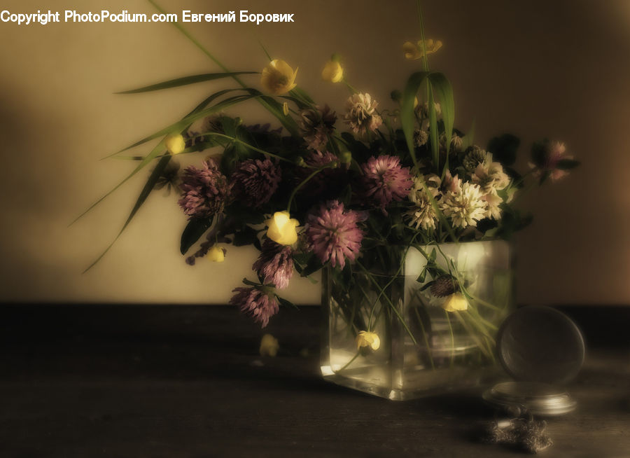 Plant, Potted Plant, Blossom, Flower, Peony, Flower Arrangement, Flower Bouquet