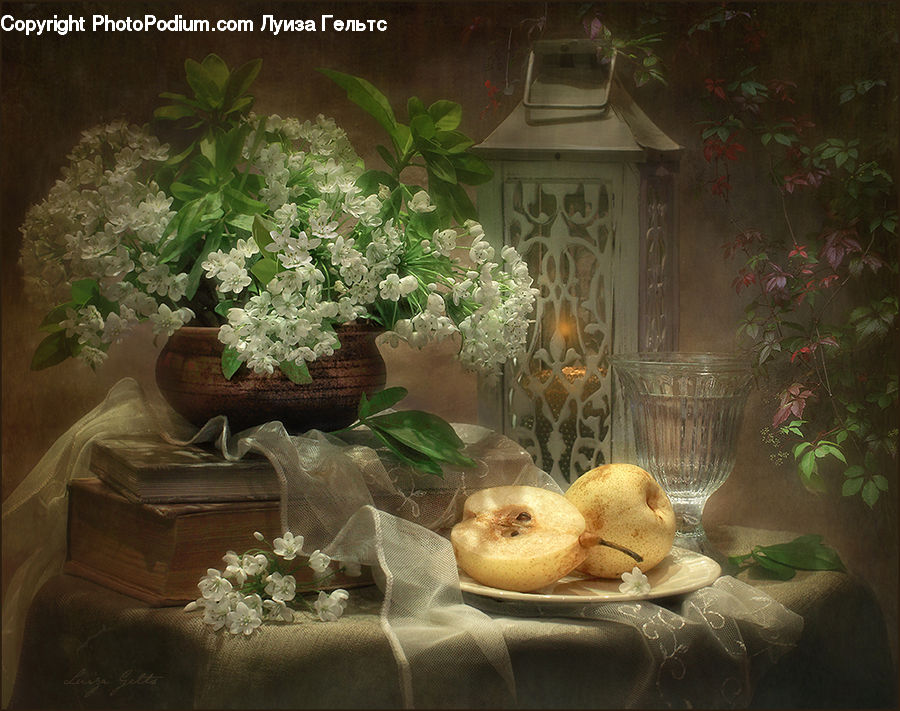 Plant, Potted Plant, Floral Design, Flower, Flower Arrangement, Flower Bouquet, Ikebana