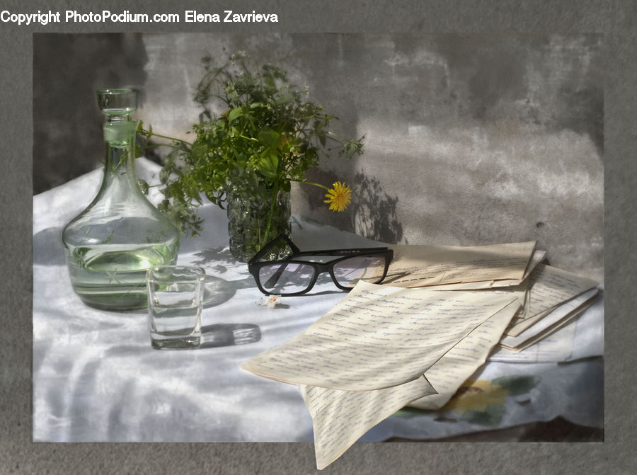 Plant, Potted Plant, Glass, Bench, Paper, Dining Table, Furniture