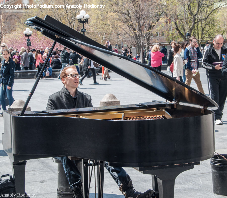 Grand Piano, Musical Instrument, Piano, People, Person, Human, Performer