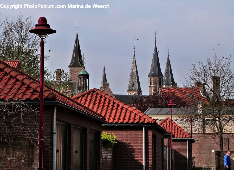 Brick, Architecture, Spire, Steeple, Tower, Plant, Tree