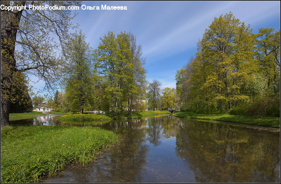 Canal, Outdoors, River, Water, Pond, Blossom, Flora
