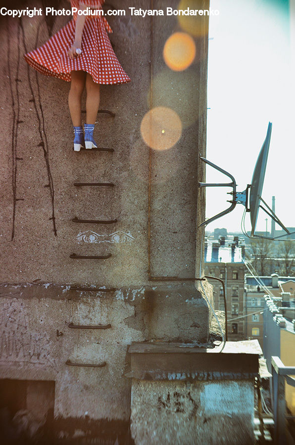 Polka Dot, Brick, Glasses, Goggles, Soil