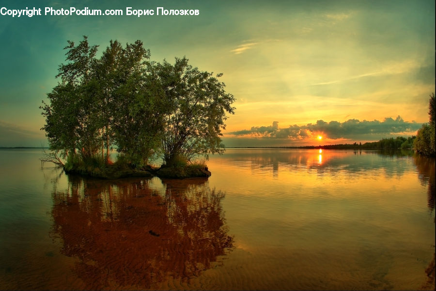 Lagoon, Lake, Outdoors, Water, Plant, Tree, River