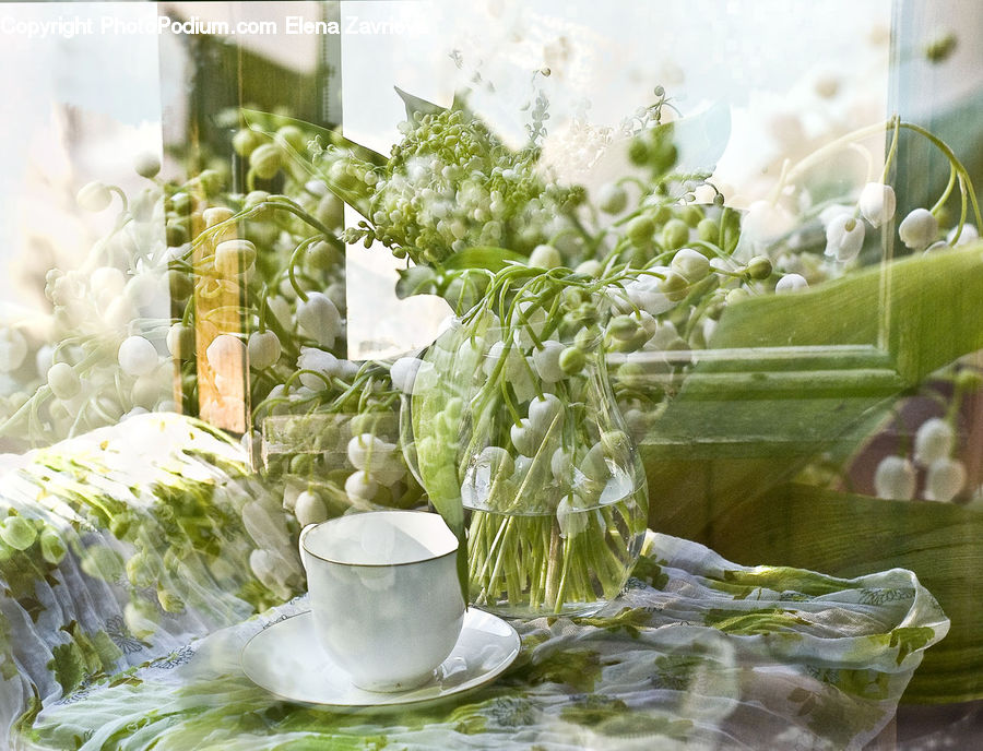Cabbage, Produce, Vegetable, Garlic, Plant, Porcelain, Saucer