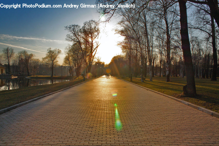 Dirt Road, Gravel, Road, Path, Walkway, Flare, Light