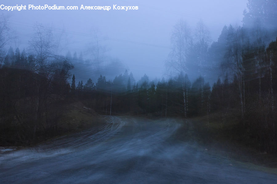 Dirt Road, Gravel, Road, Fog, Forest, Vegetation, Landscape