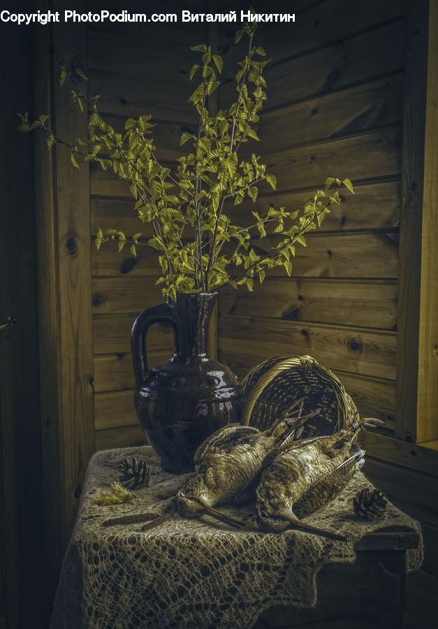 Jar, Porcelain, Vase, Ivy, Plant, Vine, Ancient Egypt
