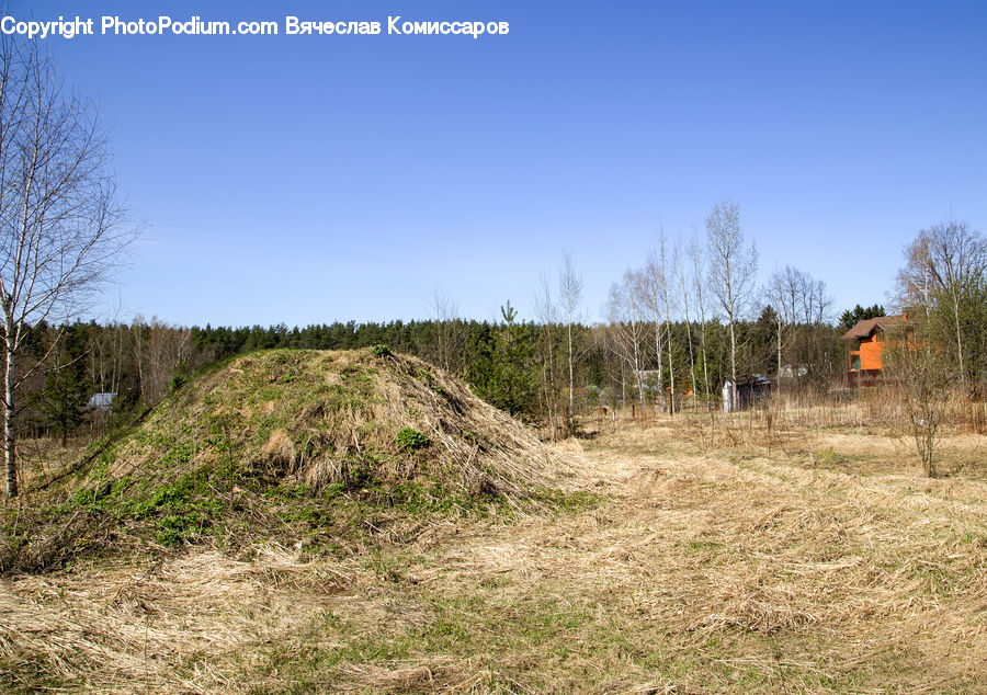 Grassland, Mound, Field, Grass, Land, Outdoors, Dirt Road