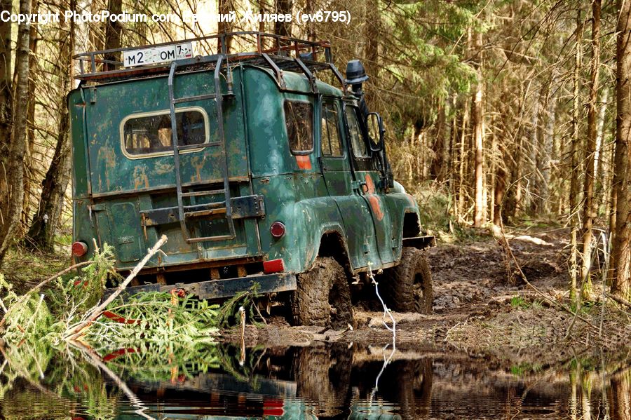 Engine, Machine, Motor, Car, Offroad, Outdoors, Pond