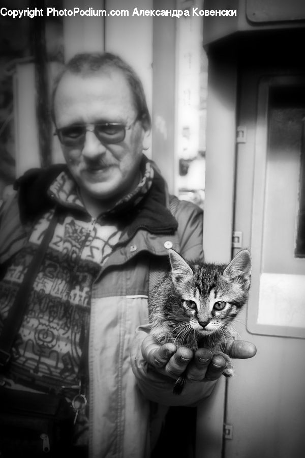 People, Person, Human, Animal, Cat, Mammal, Pet
